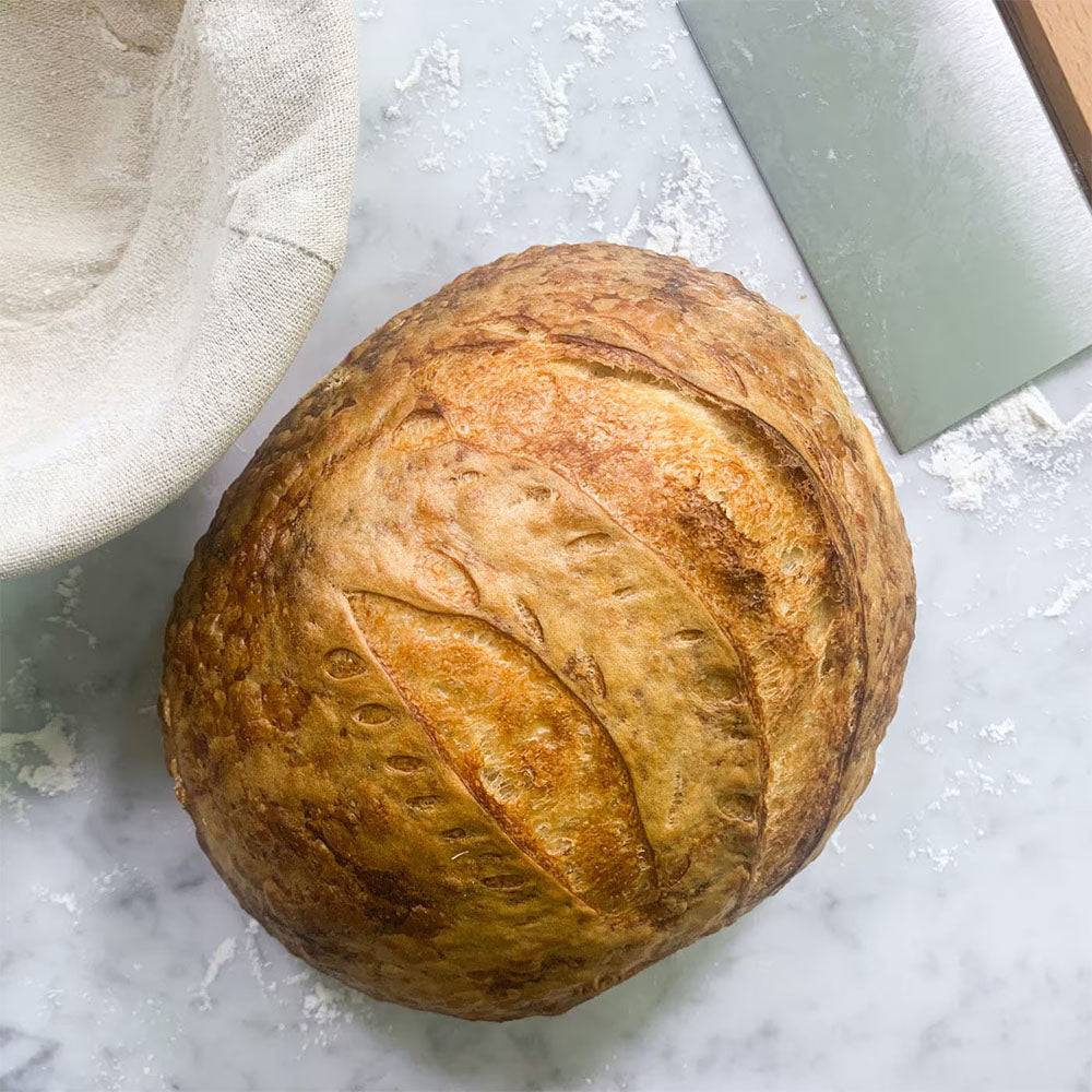 Sourdough Bread Winner Kit
