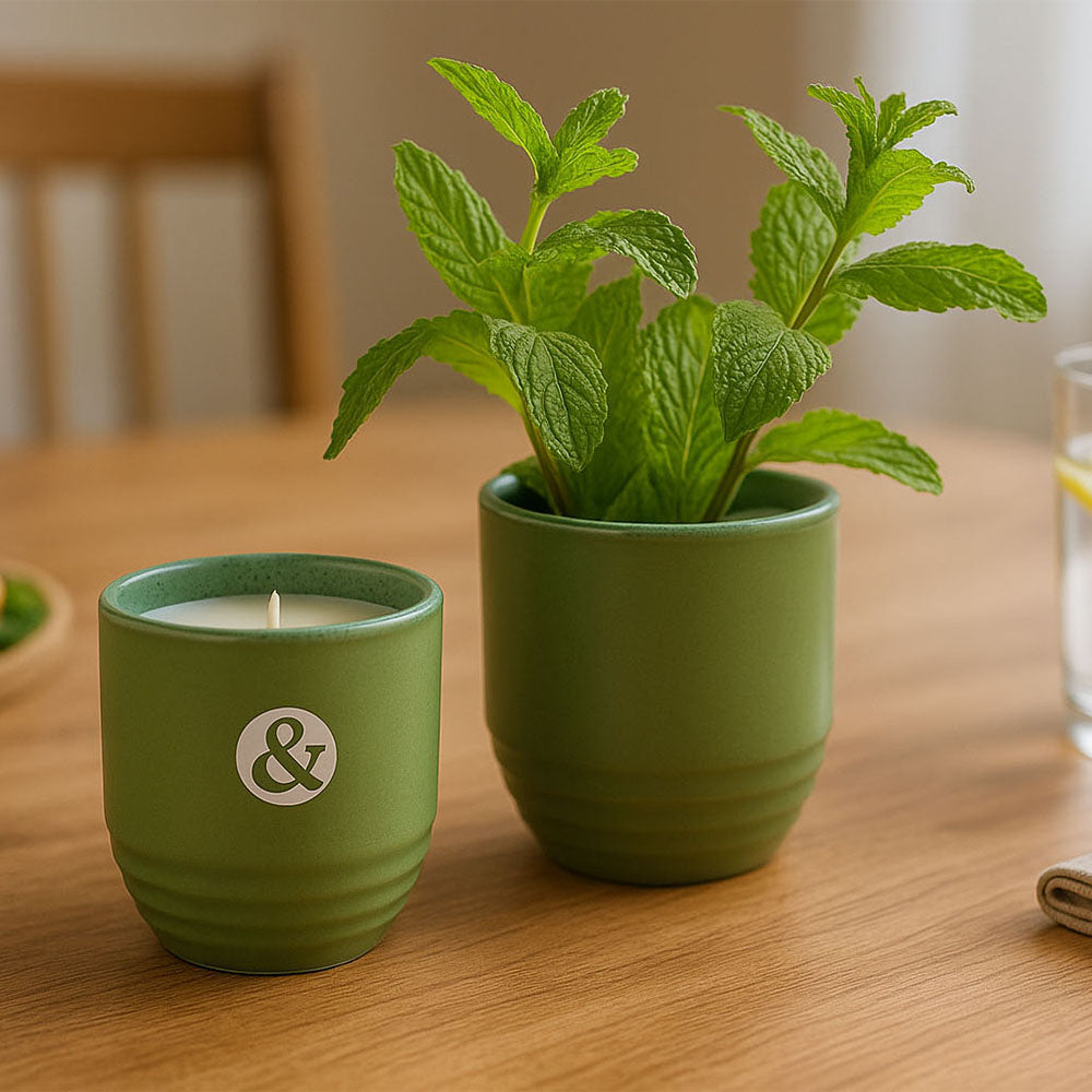 Modern Sprout® Candle Planter