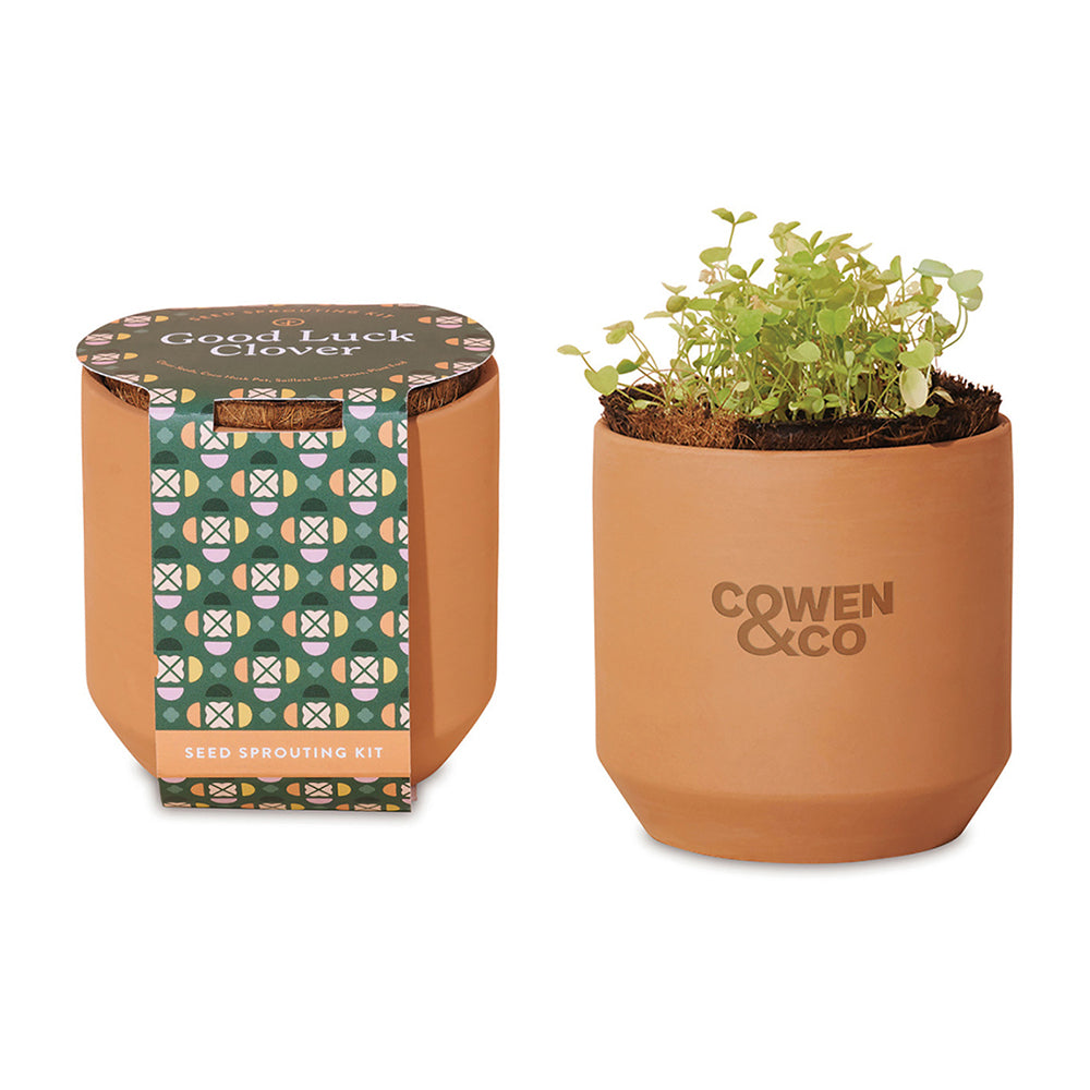 Good Luck Clover Grow Kit