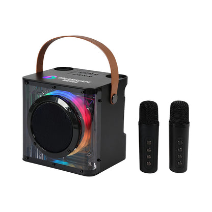 15w Karaoke Wireless Speaker With 2 Mics