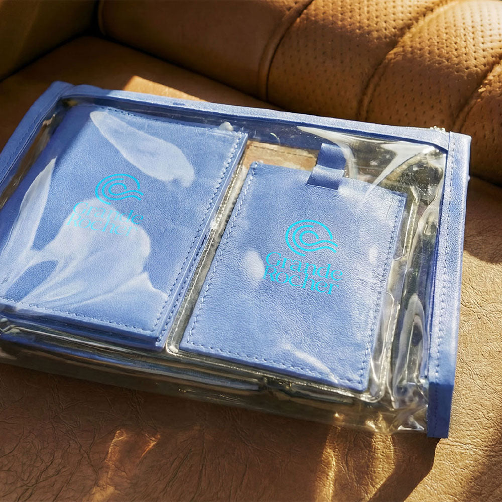 Colourpulse Passport Holder And Luggage Tag