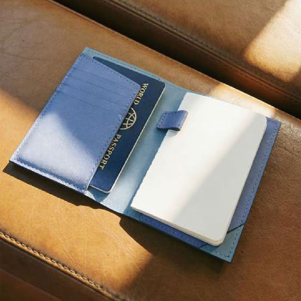Colourpulse Passport Holder And Luggage Tag
