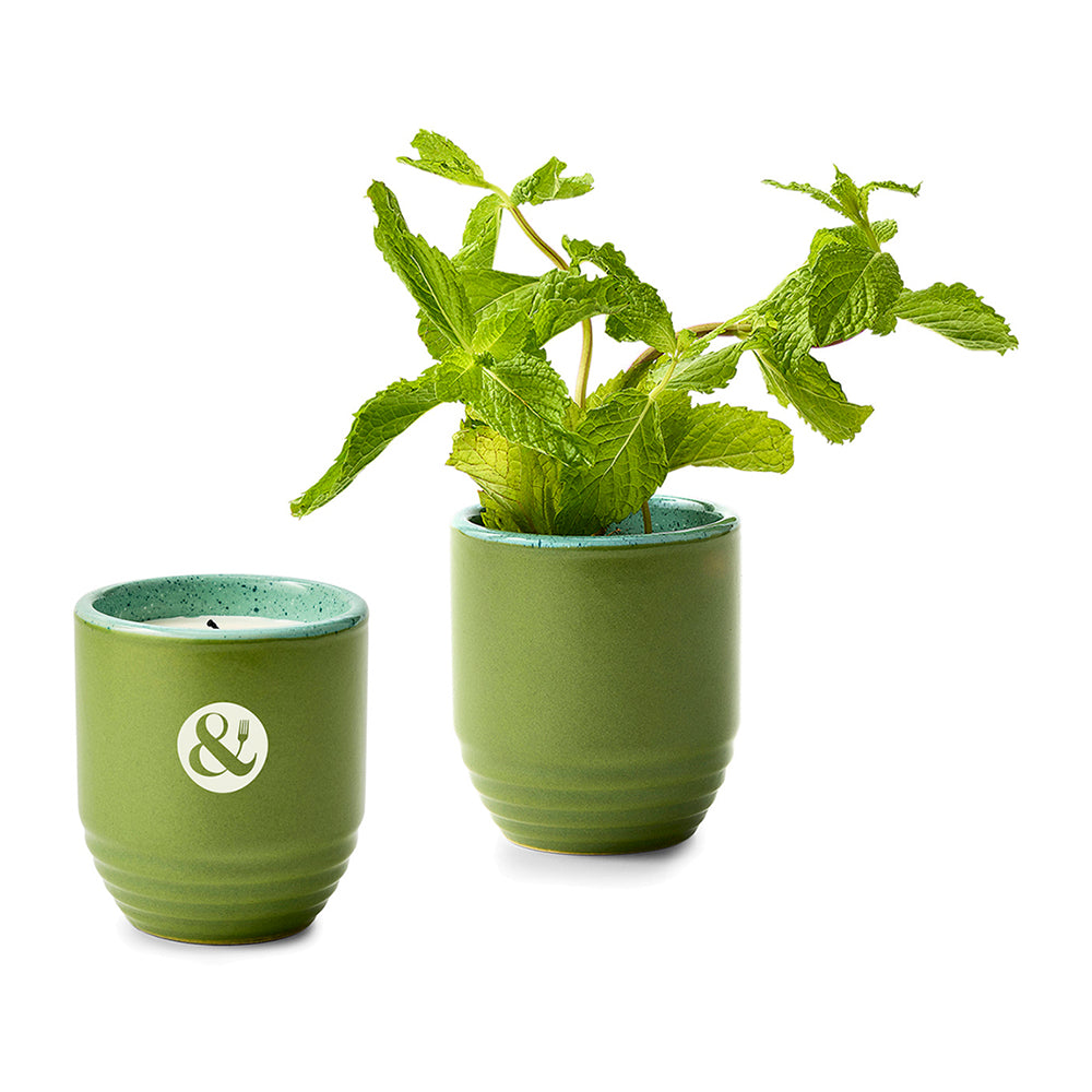 Modern Sprout® Candle Planter