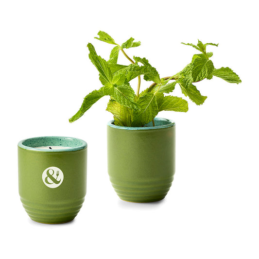 Modern Sprout® Candle Planter