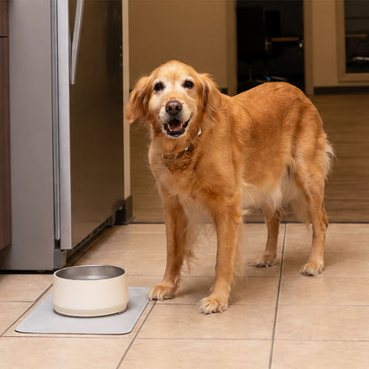 Stanley 48 Oz  Pet Bowl